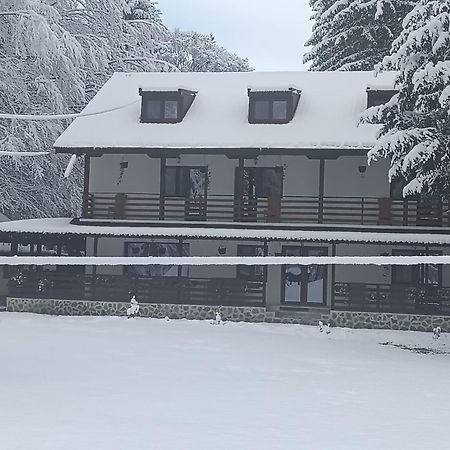 Pensiunea Vinatur Porumbacu de Sus Eksteriør billede