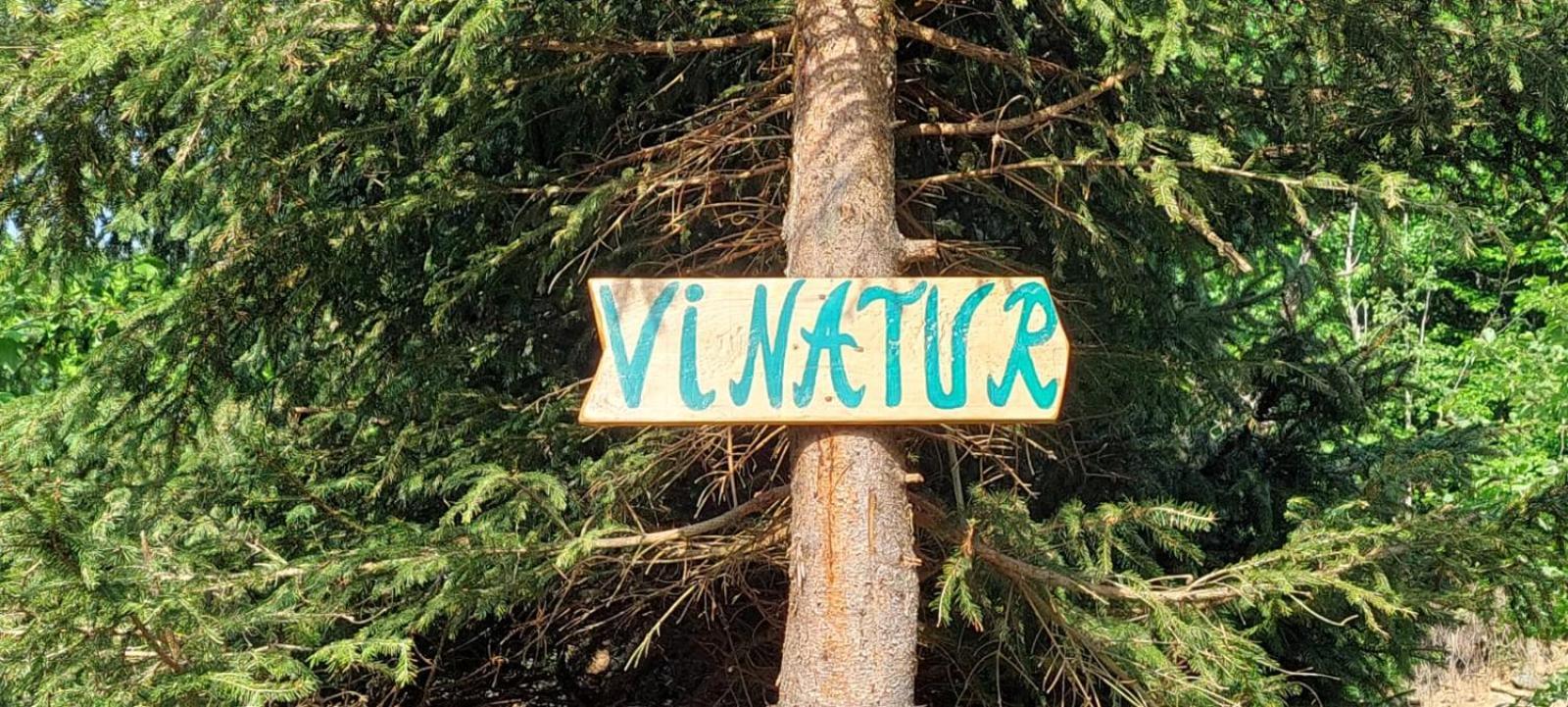 Pensiunea Vinatur Porumbacu de Sus Eksteriør billede